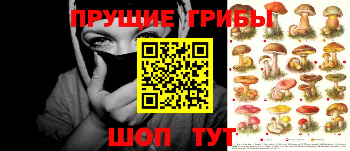 Галлюциногенные грибы мухоморы  Вход с VPN  Озёрск 